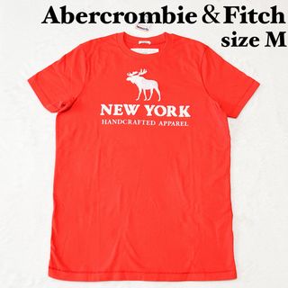 アバクロンビーアンドフィッチ(Abercrombie&Fitch)の【新品未使用タグ付き】アバクロンビーアンドフイッチ　メンズ半袖Tシャツ　M(Tシャツ/カットソー(半袖/袖なし))