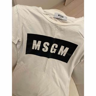 エムエスジイエム(MSGM)のMSGM ティシャツ(Tシャツ(半袖/袖なし))