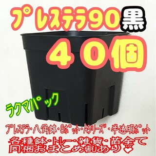 【スリット鉢】プレステラ90黒40個 多肉植物 プラ鉢-ラクマパック-(プランター)