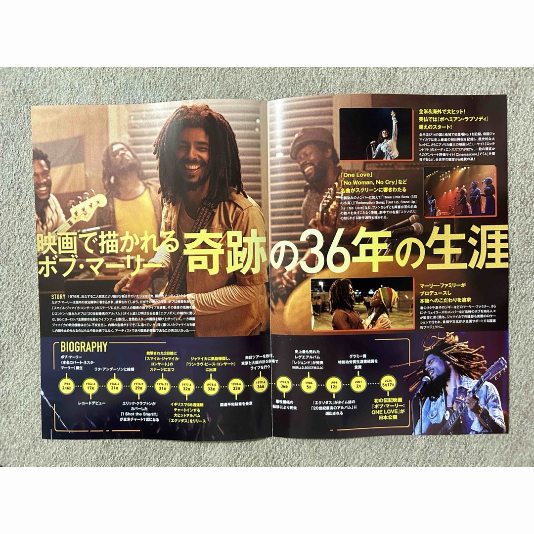 ボブ・マーリー ONE LOVE 【フライヤー】1枚 エンタメ/ホビーのコレクション(印刷物)の商品写真