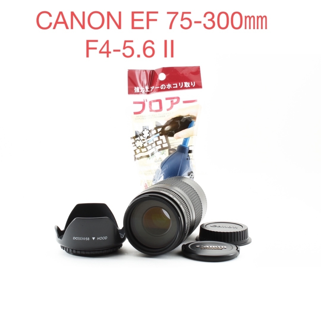 ☆Canon 愛くるし キヤノン 望遠レンズ 75-300mm 望遠を始めませ ☆Canon 愛くるし キヤノン 望遠レンズ 75-300mm 望遠を始めませ