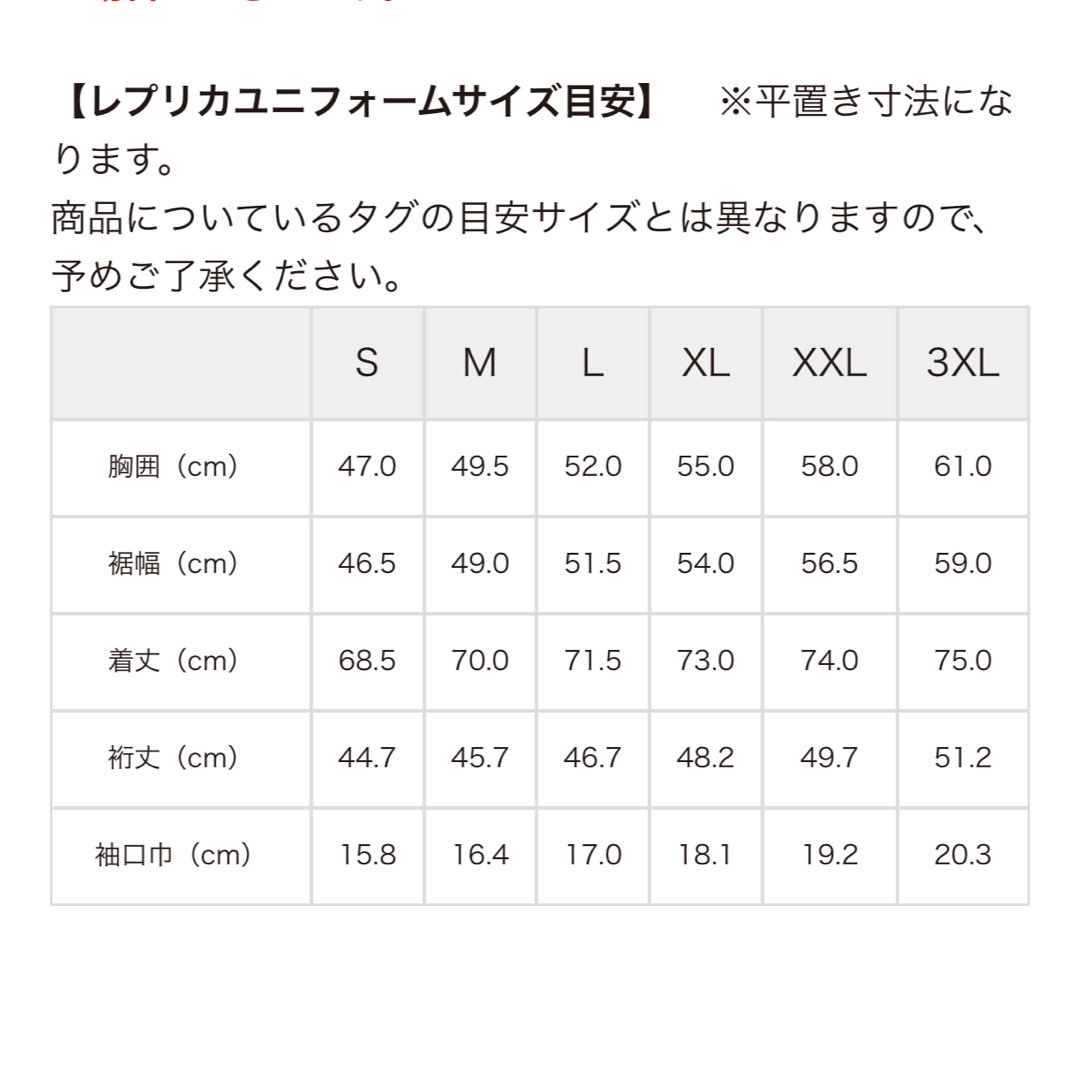 NIKE(ナイキ)の【美品】鹿島アントラーズ荒木遼太郎10番ユニフォーム スポーツ/アウトドアのサッカー/フットサル(ウェア)の商品写真