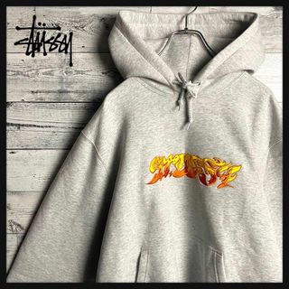 ステューシー(STUSSY)の【入手困難 】ステューシー☆ ファイヤーパターン 刺繍ロゴ入りパーカー(その他)