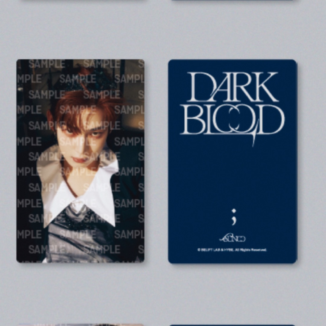 ENHYPEN(エンハイプン)のENHYPEN DARK BLOOD ティンケース ソヌ トレカ エンタメ/ホビーのトレーディングカード(シングルカード)の商品写真