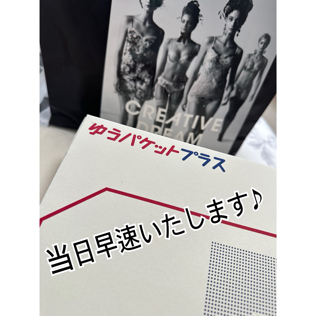 Wacoal(ワコール)のワコール　サルート　26グループ　本日お値下げしました レディースの下着/アンダーウェア(ブラ&ショーツセット)の商品写真