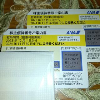 エーエヌエー(ゼンニッポンクウユ)(ANA(全日本空輸))のANA（全日空）株主優待券２枚2024年11月30日まで(その他)