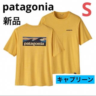 パタゴニア(patagonia)の⭐️人気完売柄⭐️patagonia キャプリーン クール Tシャツ⭐️速乾(Tシャツ/カットソー(半袖/袖なし))