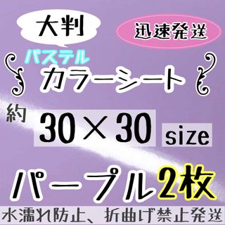 大判　パステル　紫　カッティングシート　2枚　うちわ文字　規定外(アイドルグッズ)