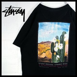 ステューシー(STUSSY)の【STUSSY】サボテン　絵画　ビッグシルエット　Tシャツ(Tシャツ/カットソー(半袖/袖なし))