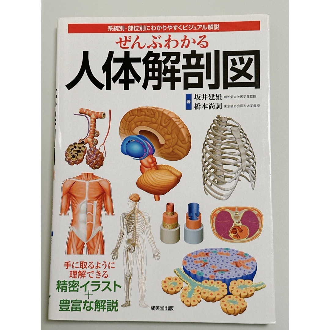 ぜんぶわかる人体解剖図 エンタメ/ホビーの本(健康/医学)の商品写真
