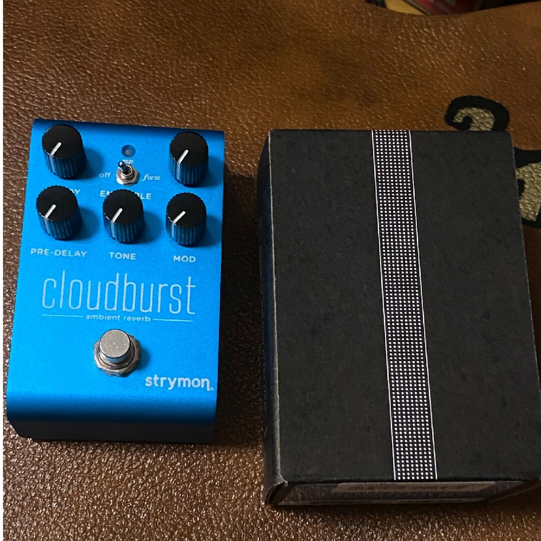 Strymon/Cloudburst クラウドバースト リバーブ ストライモン Strymon/Cloudburst クラウドバースト リバーブ ストライモン