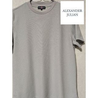 アレキサンダージュリアン(ALEXANDER JULIAN)の【美品】Alexander JulianTシャツ　Mサイズ(Tシャツ/カットソー(半袖/袖なし))