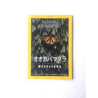 ニッケイビーピー(日経BP)の美品　ナショナルジオグラフィック　2024年1月号  オオカバマダラ　(ラメフ(専門誌)