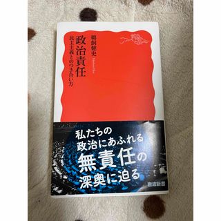 イワナミショテン(岩波書店)の政治責任(その他)