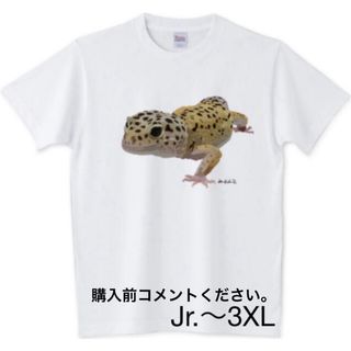 プリントスター(Printstar)のレオパ ヒョウモントカゲモドキ Tシャツ プリントスター 爬虫類 とかげ ヤモリ(Tシャツ/カットソー(半袖/袖なし))