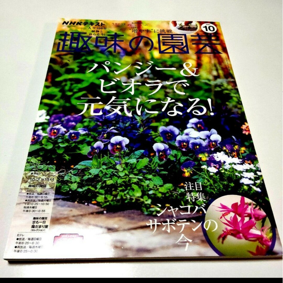 ★NHK趣味の園芸★ 2021年10月号 パンジー ビオラ 寄せ植え 氷川きよし エンタメ/ホビーの雑誌(趣味/スポーツ)の商品写真