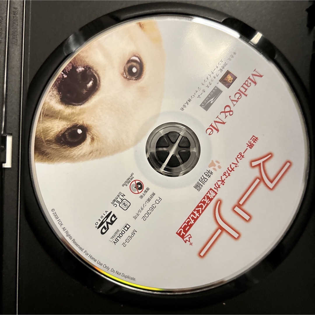 マーリー　世界一おバカな犬が教えてくれたこと　＜特別編＞ DVD エンタメ/ホビーのDVD/ブルーレイ(外国映画)の商品写真