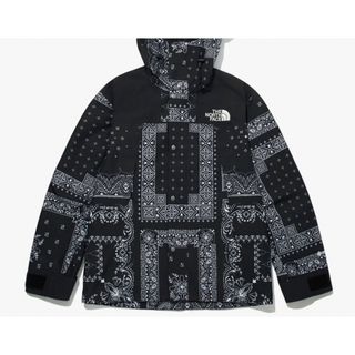 ザノースフェイス(THE NORTH FACE)のノースフェイス ナイロンジャケット ゴアテックス ペイズリー柄 新品 韓国2XL(マウンテンパーカー)