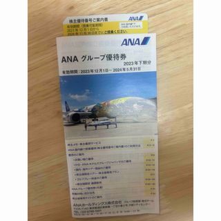 エーエヌエー(ゼンニッポンクウユ)(ANA(全日本空輸))のＡＮＡ　株主優待券　1枚　ＡＮＡグループ優待券  1冊  最新(航空券)