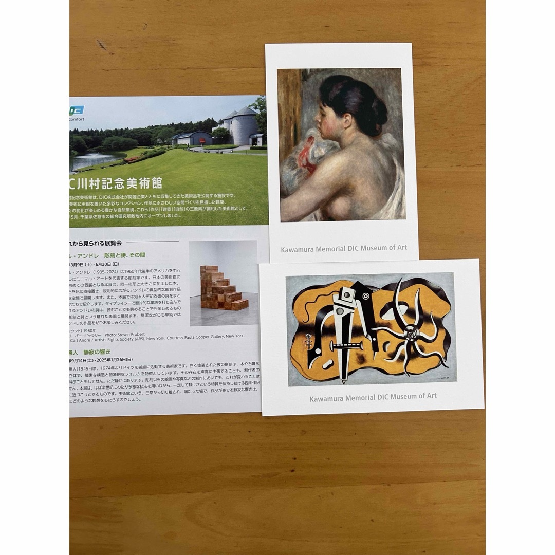 DIC 株主優待 川村記念美術館 入館券 2枚絵葉書 チケットの施設利用券(美術館/博物館)の商品写真