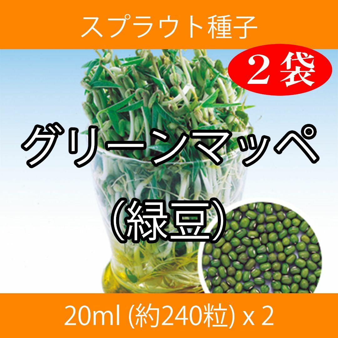 スプラウト種子 S-17 グリーンマッペ（緑豆） 20ml 約240粒 x 2袋 食品/飲料/酒の食品(野菜)の商品写真