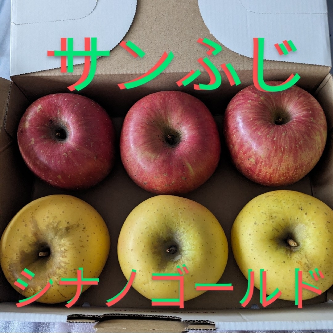 青森県産りんご　6玉　1kg以上　　　《サンふじ＆シナノゴールド》ゆうパケット便 食品/飲料/酒の食品(フルーツ)の商品写真