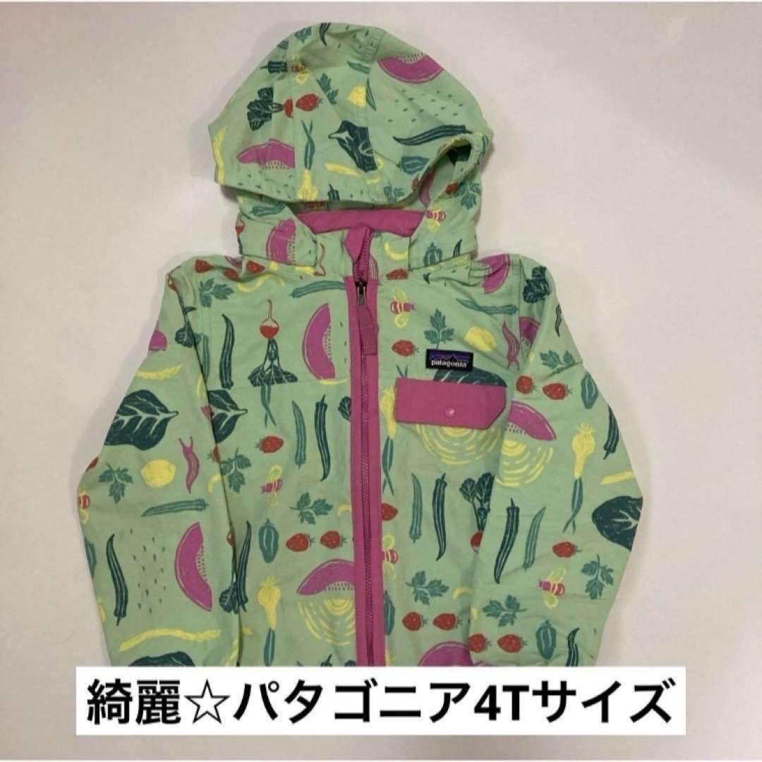 patagonia(パタゴニア)のpatagonia　ベビー　バギーズジャケット4T キッズ/ベビー/マタニティのキッズ服女の子用(90cm~)(ジャケット/上着)の商品写真