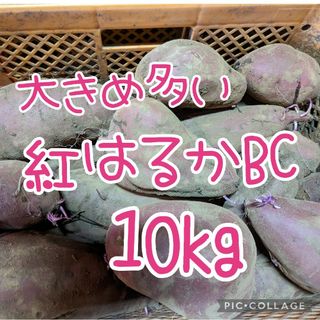 大きめ多い紅はるか10kg(野菜)