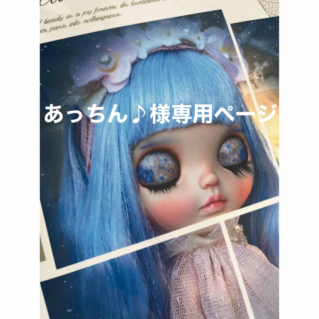 あっちん♪様専用ページ エンタメ/ホビーの雑誌(その他)の商品写真