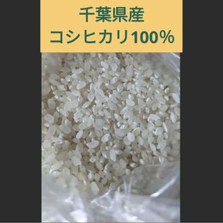 コシヒカリ無洗米　約10キロ(米/穀物)