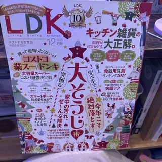 LDK (エル・ディー・ケー) 2023年 12月号 [雑誌](その他)