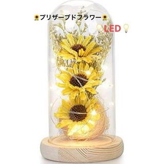 ✨ LED造花 プリザーブドフラワー 花ランプ ガラスドーム(プリザーブドフラワー)