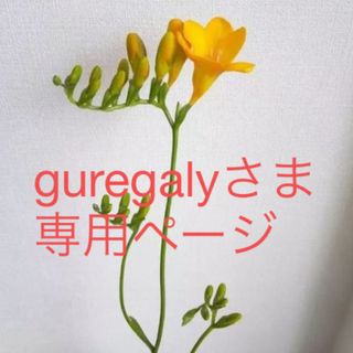 guregalyさま専用(その他)