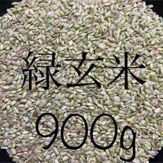 令和5年産　希少な緑玄米（うるち米）900g(米/穀物)