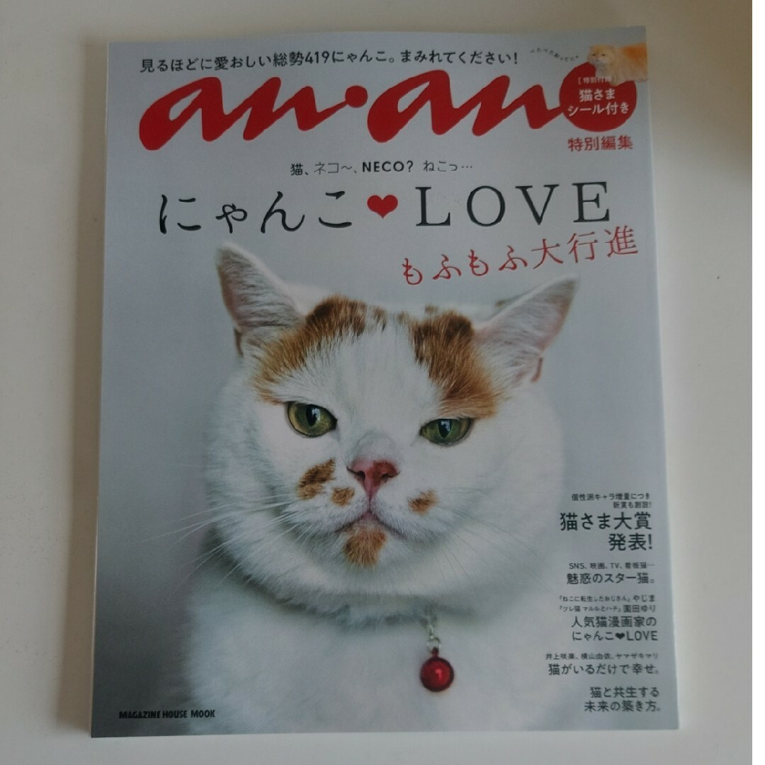 にゃんこＬＯＶＥもふもふ大行進 エンタメ/ホビーの本(住まい/暮らし/子育て)の商品写真