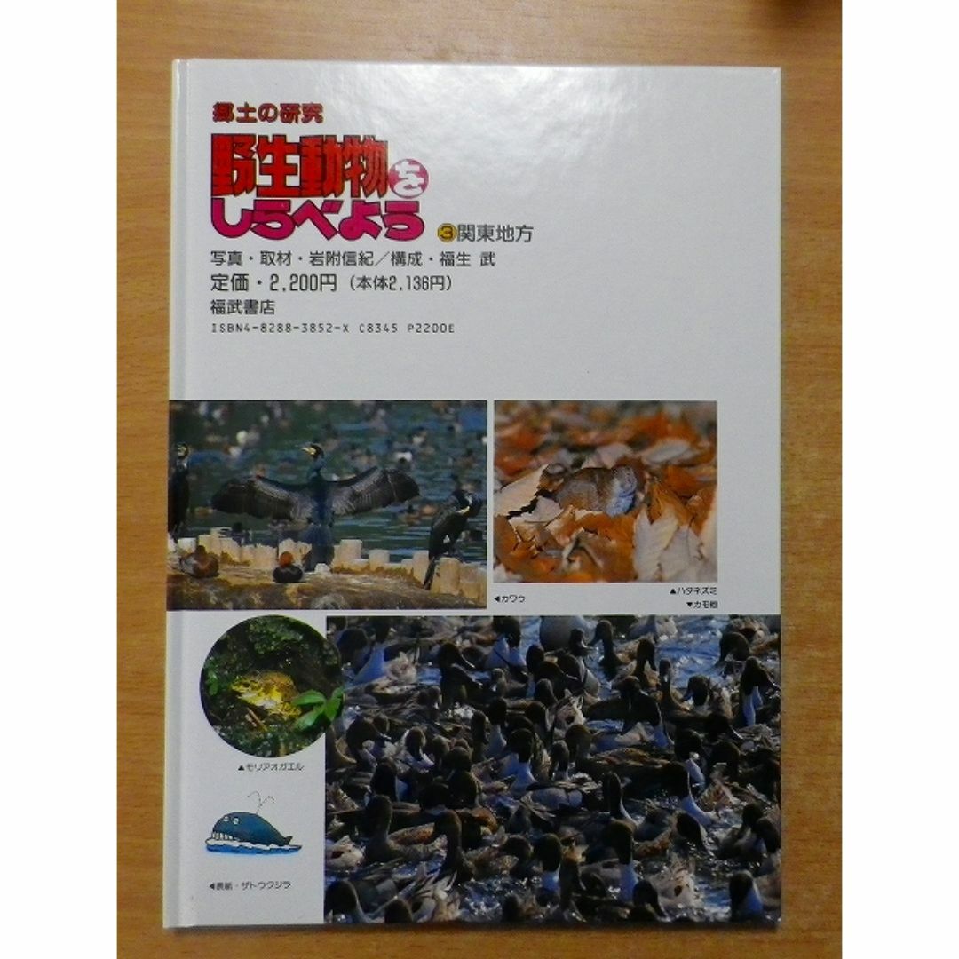 関東地方 (郷土の研究 野生動物をしらべよう) エンタメ/ホビーの本(絵本/児童書)の商品写真