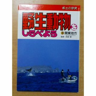 関東地方 (郷土の研究 野生動物をしらべよう)(絵本/児童書)