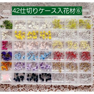 42仕切りケース入り 花材 アソート 詰め合わせ  ハンドメイド(ドライフラワー)