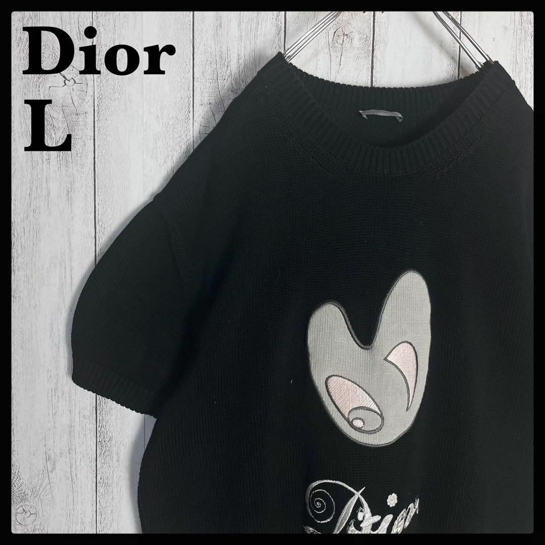 素材写真添付してますDIOR ×ケニーシャーフ　半袖ニット