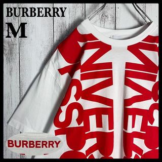 バーバリー(BURBERRY)の【希少】バーバリー☆ビッグロゴ入りTシャツ ティッシ期 即完売注意(Tシャツ/カットソー(半袖/袖なし))