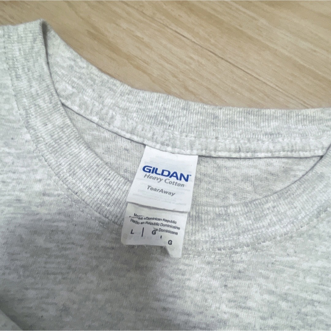 GILDAN(ギルタン)のUSA古着　GILDAN　Tシャツ　L　ライトグレー　プリント　アメリカ　国旗 メンズのトップス(Tシャツ/カットソー(半袖/袖なし))の商品写真