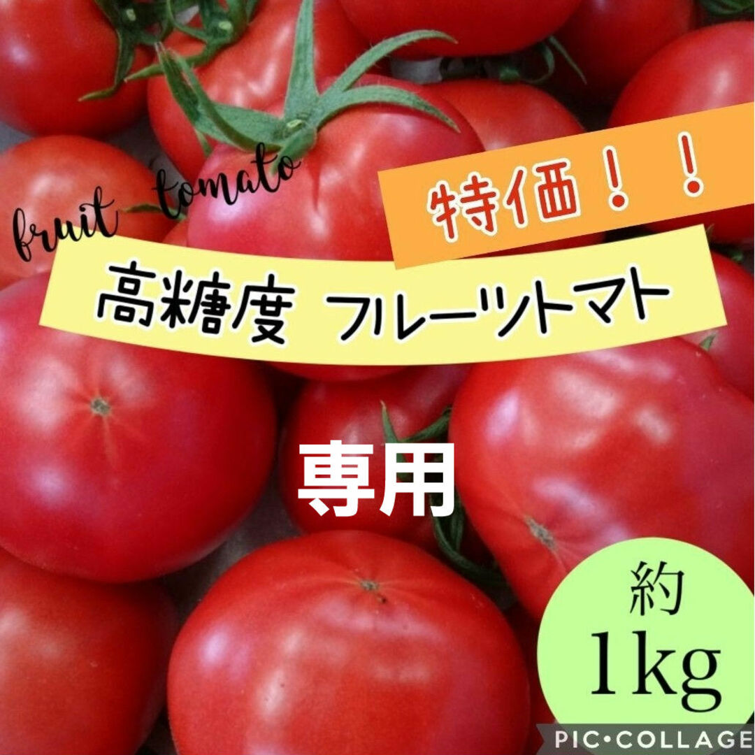 福岡県産高糖度フルーツトマト約1kg 農家直送 新鮮野菜 産地直送 食品/飲料/酒の食品(野菜)の商品写真