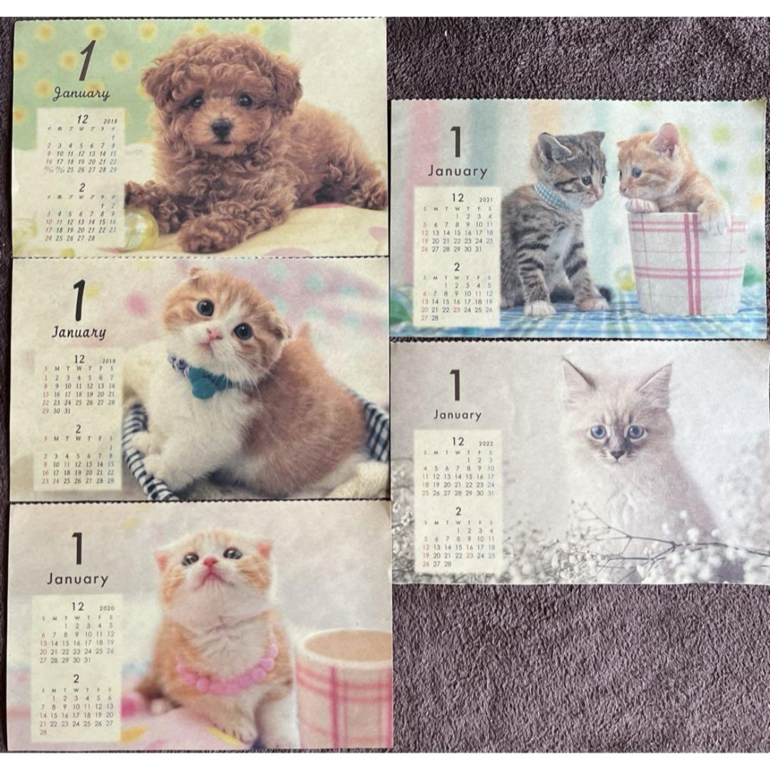 犬猫カレンダー インテリア/住まい/日用品の文房具(カレンダー/スケジュール)の商品写真