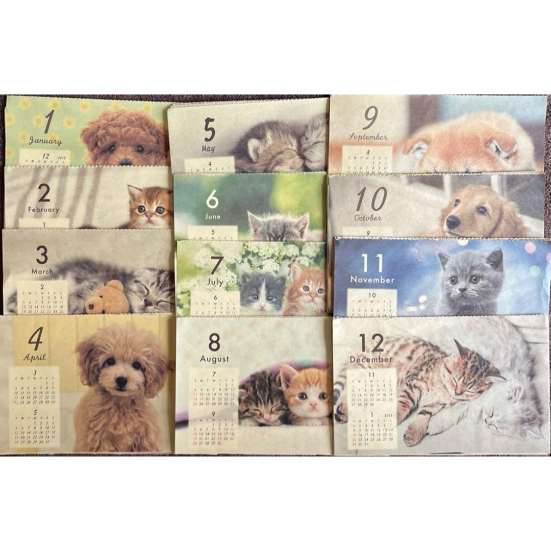 犬猫カレンダー インテリア/住まい/日用品の文房具(カレンダー/スケジュール)の商品写真