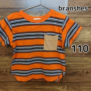 ブランシェス(Branshes)の【branshes】半袖Ｔシャツ　オレンジ　ボーダー　ラウンドカット　110cm(Tシャツ/カットソー)