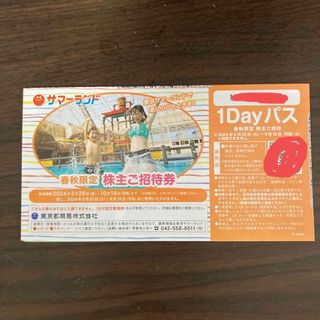 東京サマーランド1dayパス(プール)