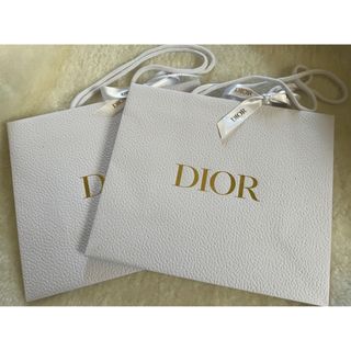 ディオール(Dior)の新品未使用　ディオール 大のショッパー　2ケ(ショップ袋)