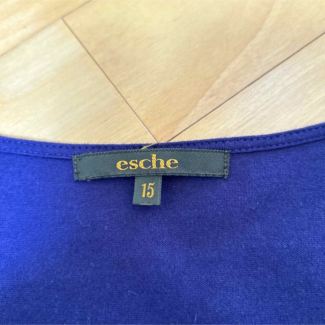 esche(エッシュ)のワールド　エッシュ　紺色　半袖テイシャツ　15号　大きめサイズ　美品 レディースのトップス(Tシャツ(半袖/袖なし))の商品写真