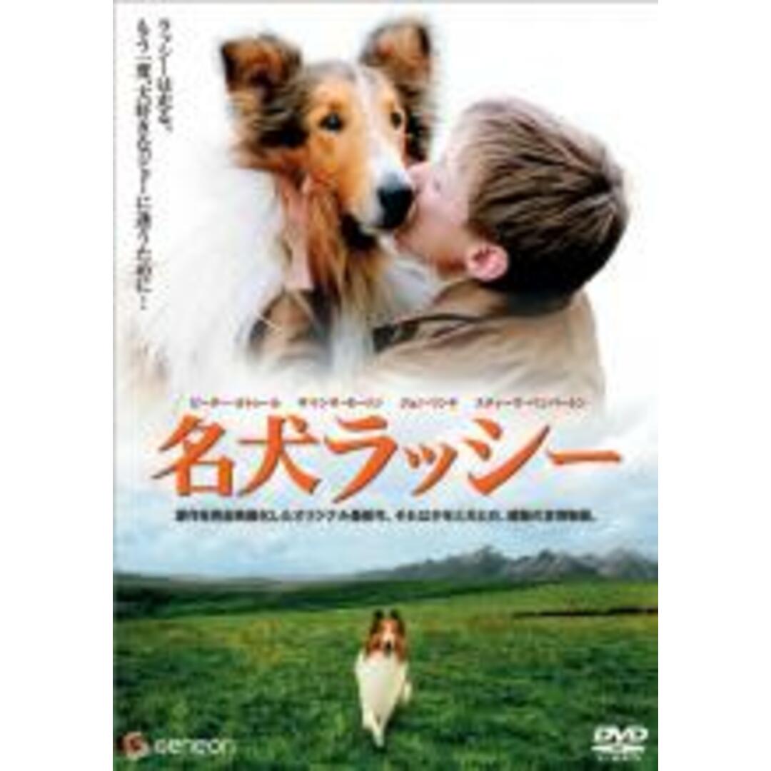 【中古】DVD▼名犬ラッシー レンタル落ち エンタメ/ホビーのDVD/ブルーレイ(外国映画)の商品写真