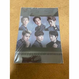 EXO クリアファイル2枚セット(アイドルグッズ)